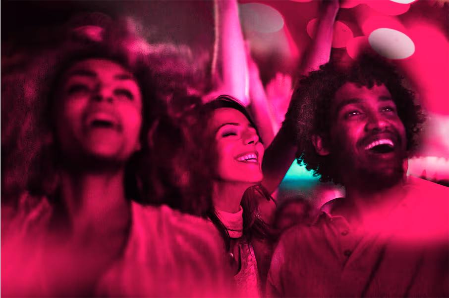 People in a crowd at a concert